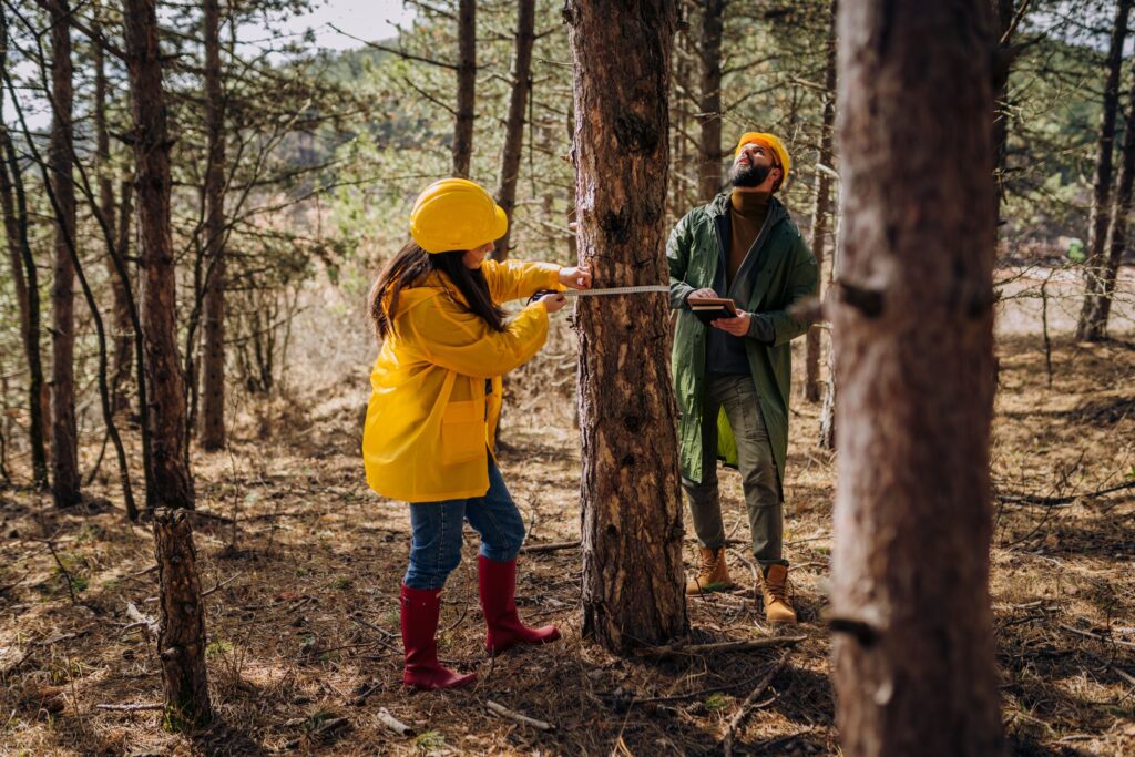 what do park rangers do