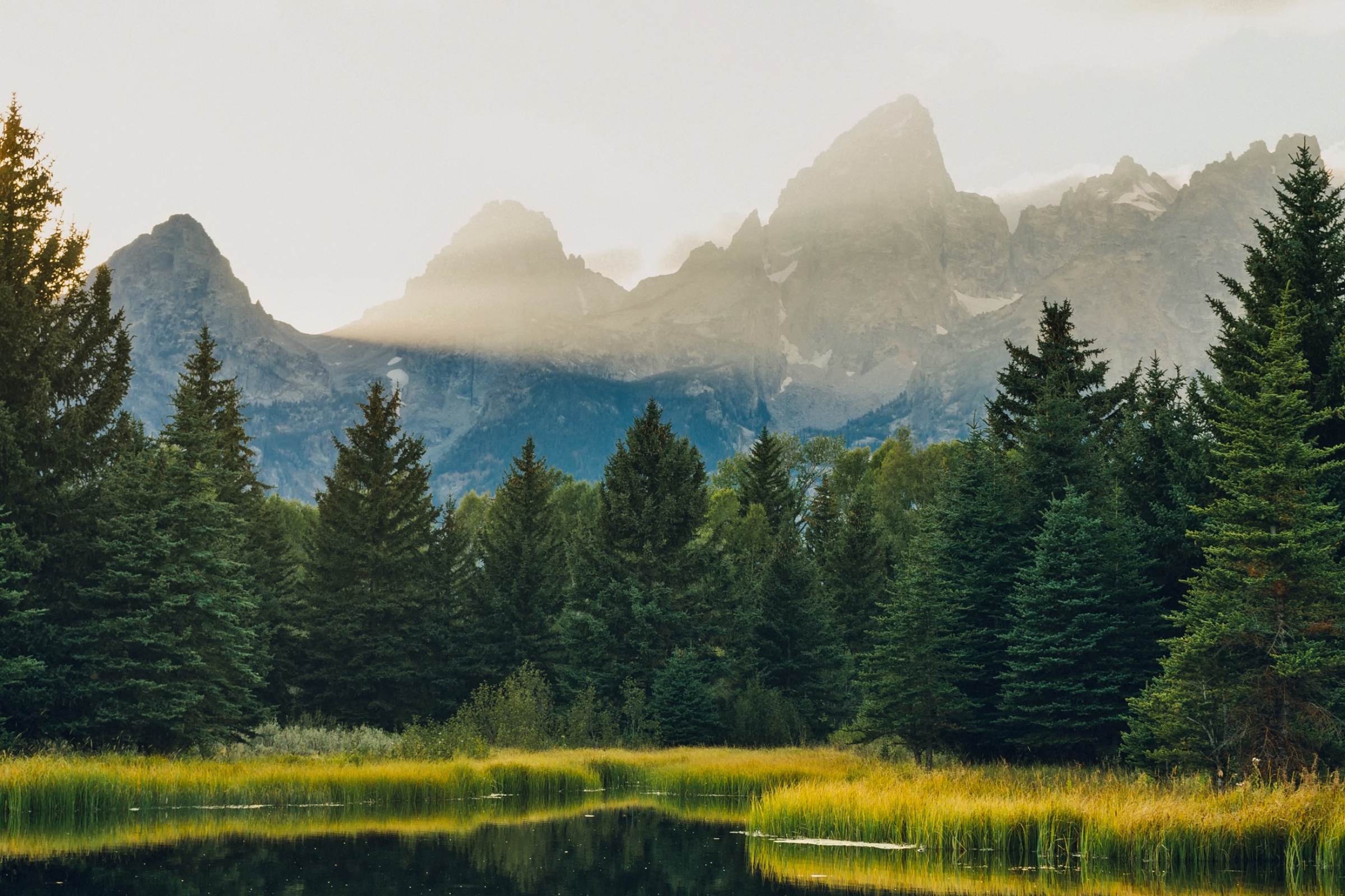Are Park Rangers Cops? Understanding Their Role and Authority
