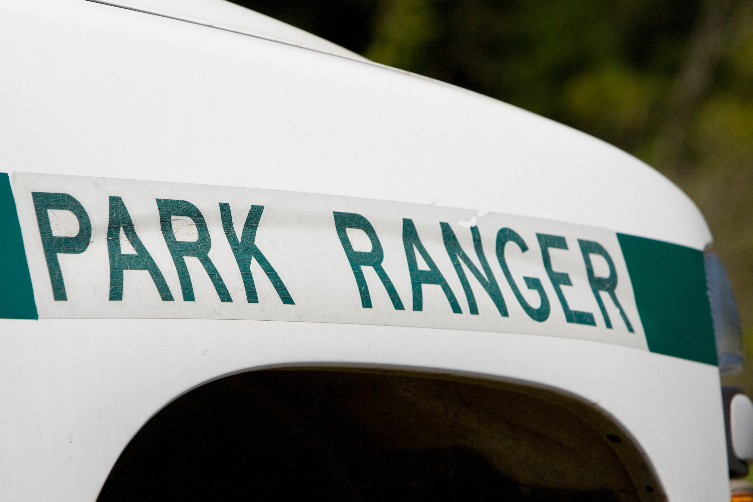 How to Become a Park Ranger Without a Degree: A Comprehensive Guide