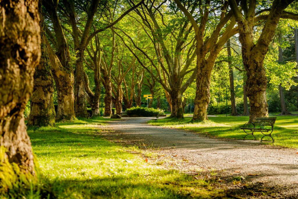 how to become a natural park ranger