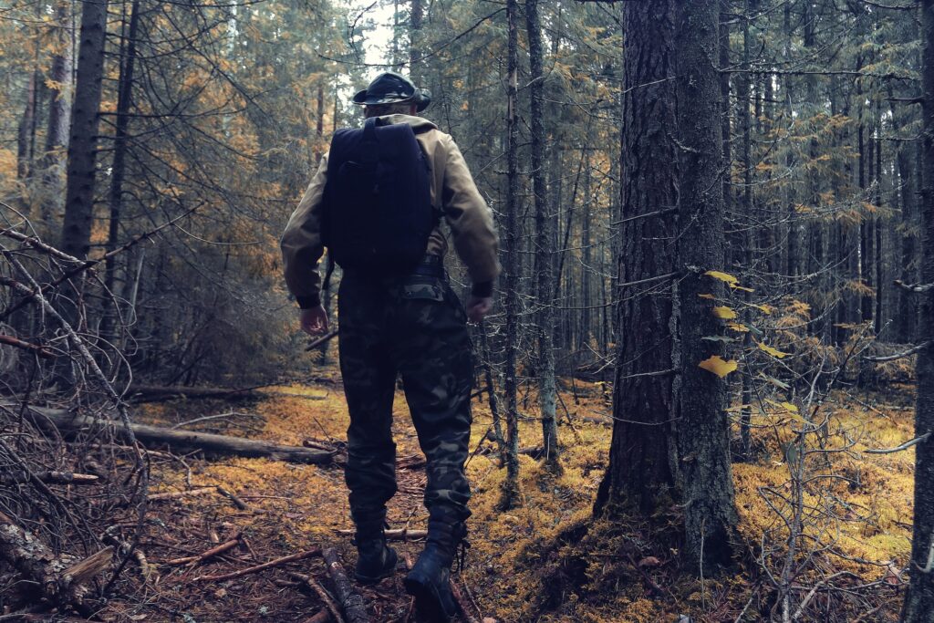 park ranger vs forest ranger