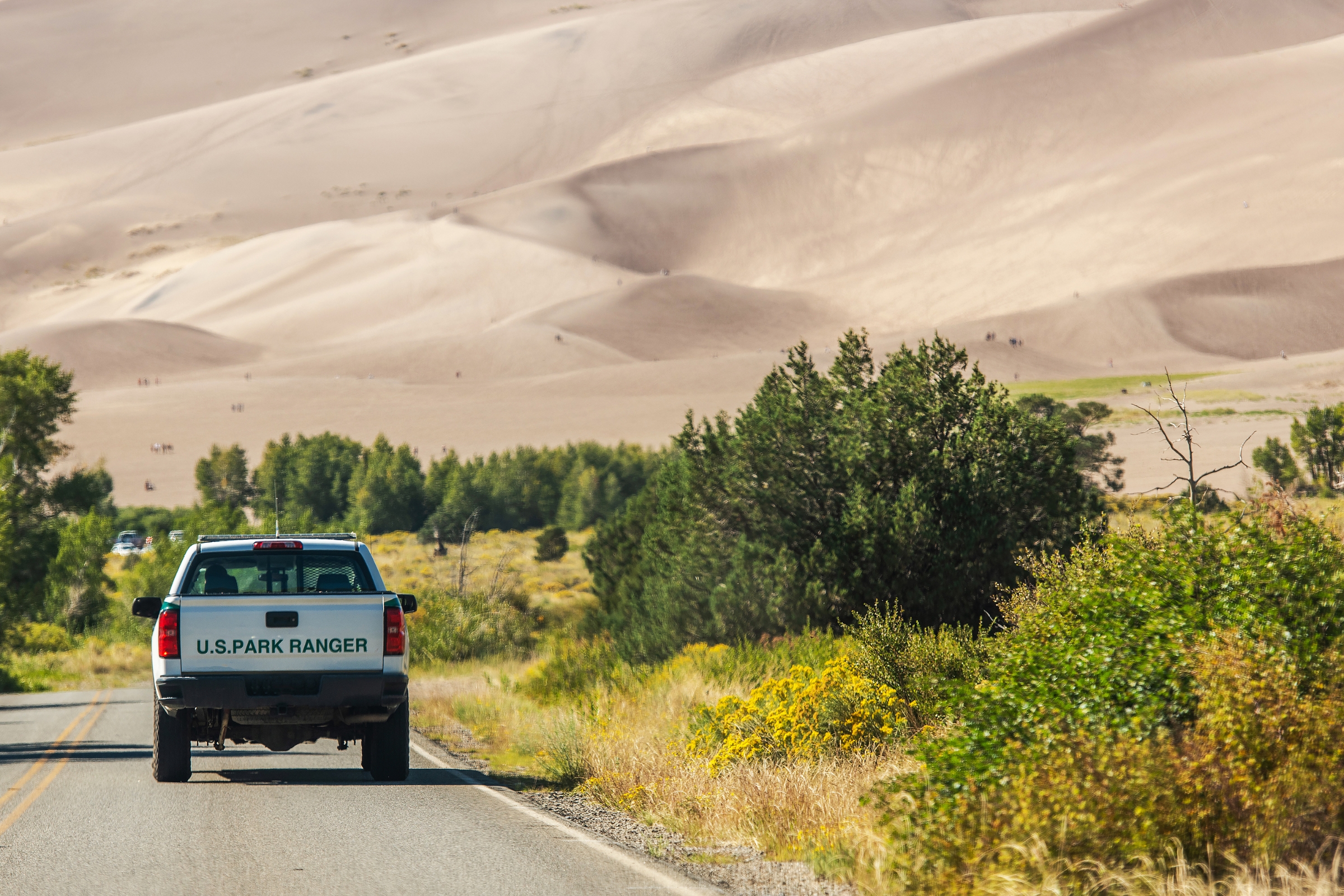 How to Become a Natural Park Ranger: A Step-by-Step Guide