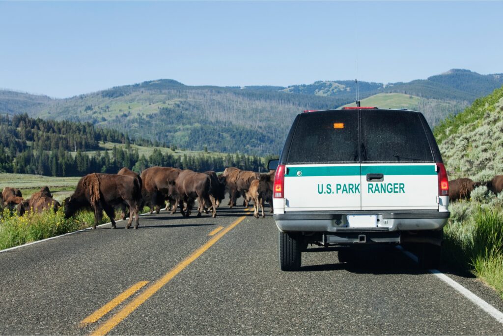 how to become a park ranger