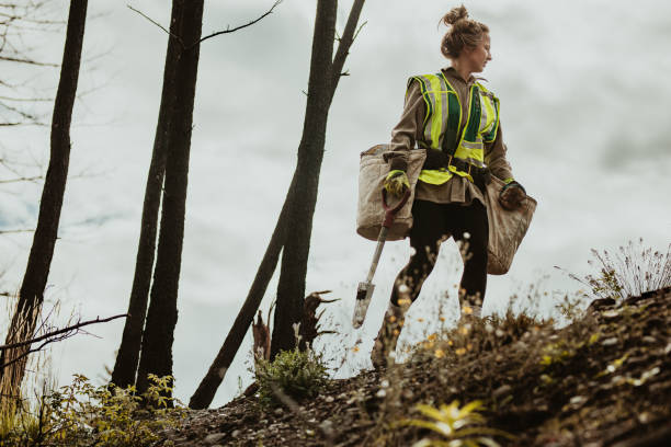 Is It Hard to Become a Park Ranger