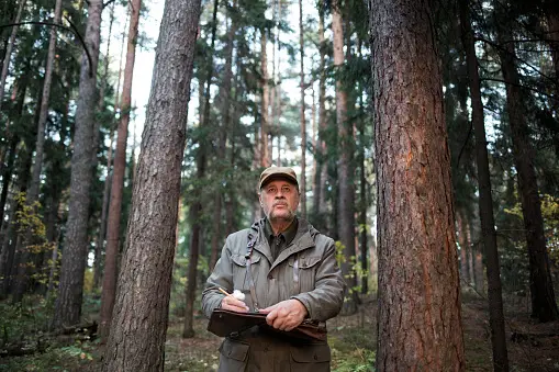 How Long Does It Take to Become a Park Ranger