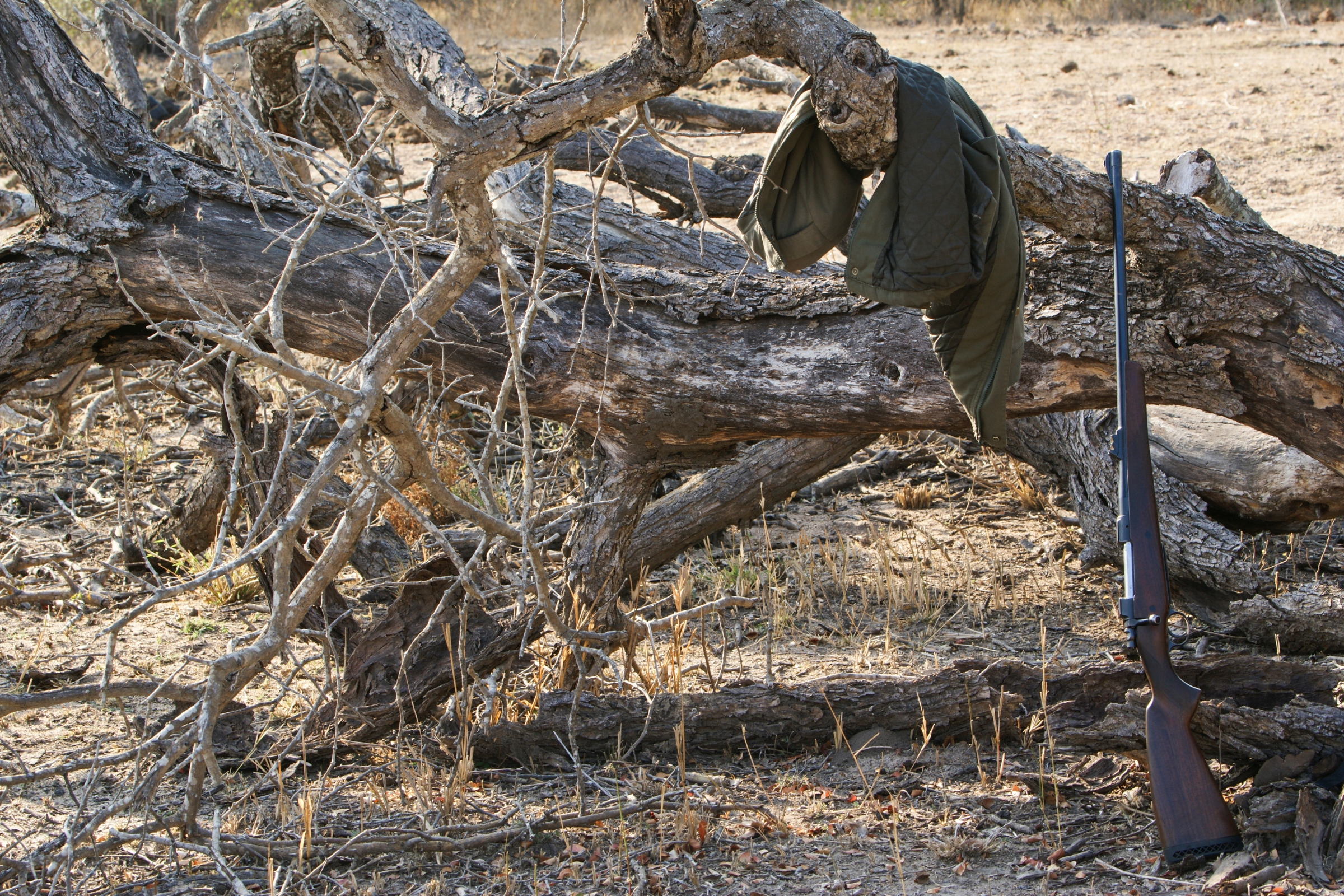 Park Ranger vs Game Warden: Roles, Responsibilities, and Differences